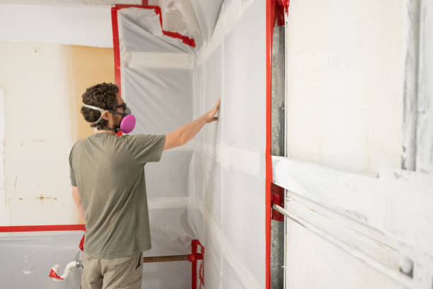 Best Mold Odor Removal Services  in Salem, MA