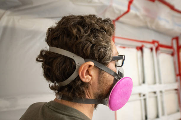 Best Industrial Mold Remediation  in Salem, MA