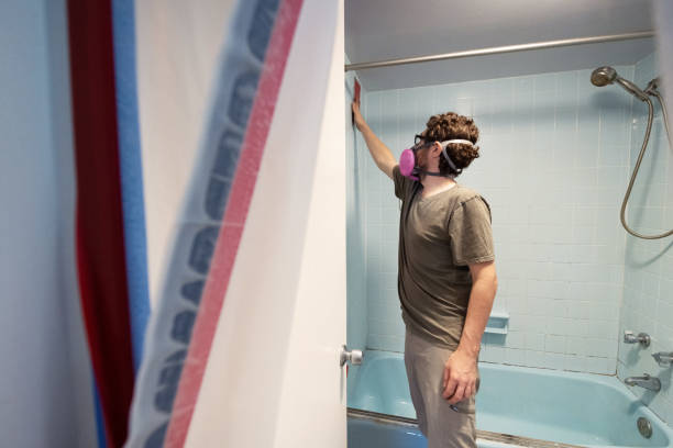 Best Commercial Mold Inspection  in Salem, MA