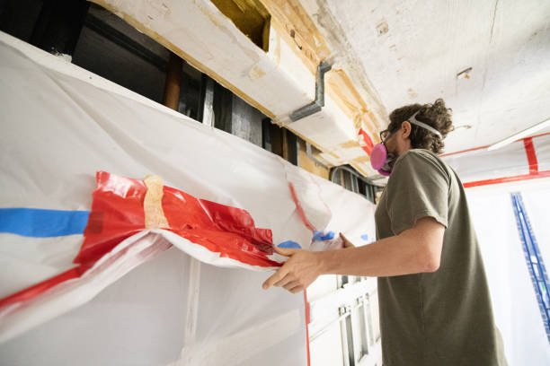 Best Environmental Consulting for Mold Prevention  in Salem, MA