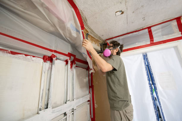 Best Dehumidification Services  in Salem, MA